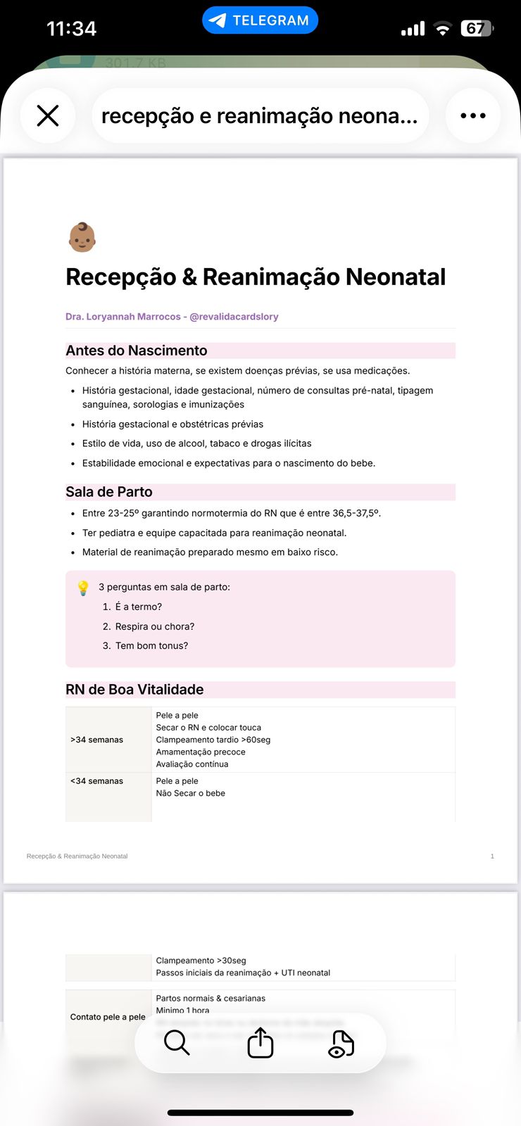 Exemplo de Revisão Inteligente — Resumos completos por tema